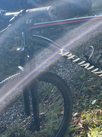 Used Specialized Epic Hardtail 2017 2017 Mountainbike, Black, 29 — image 10 of 10