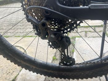 Used Canyon Exceed CF SLX 8 2024 2024 Mountainbike, Black, 29 — image 2 of 5