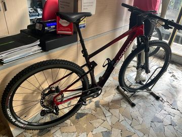 Used Lee Cougan Rampage Innova 2023 MTB