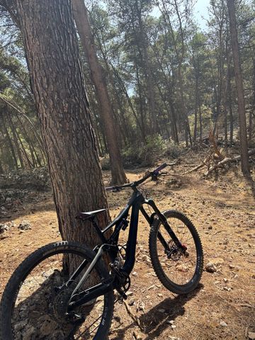 Used Orbea RALLON M20 2021 2021 Mountainbike, Black, 29 — image 3 of 4