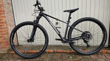 Used Cannondale Trail SL 3 2024 2024 Mountainbike, Black, 29 — image 9 of 14