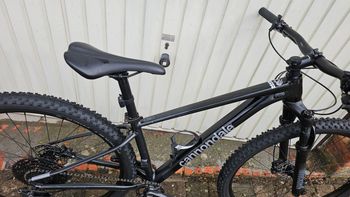 Used Cannondale Trail SL 3 2024 2024 Mountainbike, Black, 29 — image 14 of 14