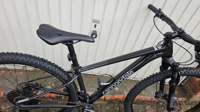 Used Cannondale Trail SL 3 2024 2024 Mountainbike, Black, 29 — image 14 of 14