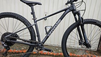 Used Cannondale Trail SL 3 2024 2024 Mountainbike, Black, 29 — image 2 of 14