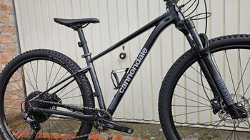 Used Cannondale Trail SL 3 2024 2024 Mountainbike, Black, 29 — image 11 of 14
