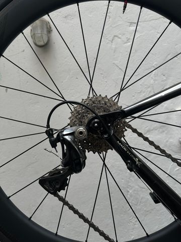 Used Wilier Izoard 2010 Road & Gravel, Blue — image 3 of 22