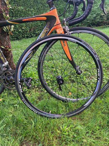Used Orbea Orca 2007 Road & Gravel, Orange — image 10 of 12