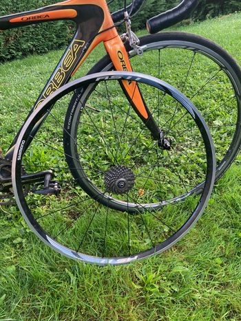 Used Orbea Orca 2007 Road & Gravel, Orange — image 12 of 12