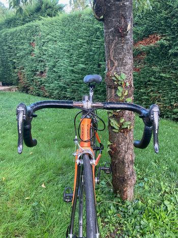 Used Orbea Orca 2007 Road & Gravel, Orange — image 6 of 12