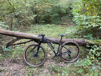 Used Canyon Grand Canyon 8 2024 2024 MTB