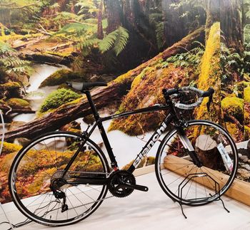 Used Bianchi Via Nirone 7 105 11SP 2024 2024 Road & Gravel