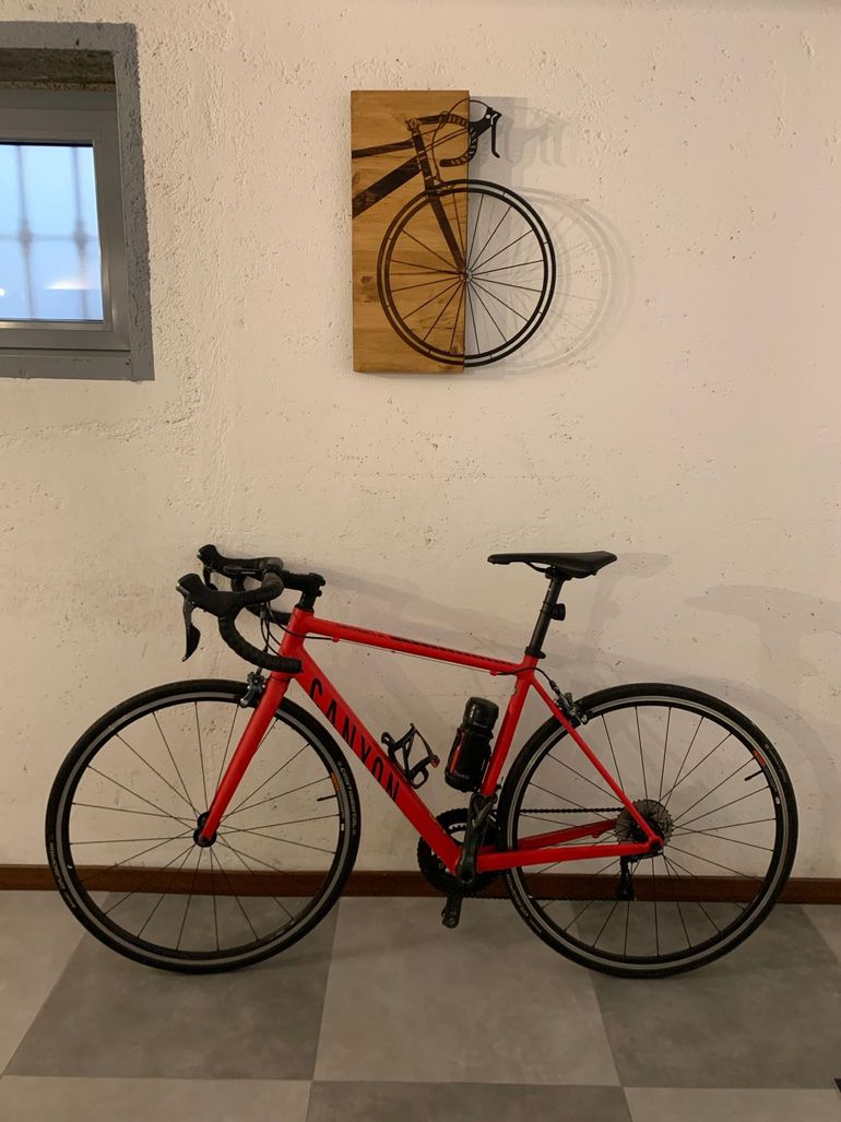 Canyon Endurace AL 2021 2021