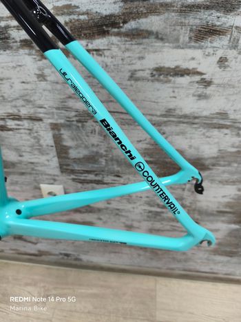 Used Bianchi Specialissima Frameset 2020 Road & Gravel, Green — image 13 of 13