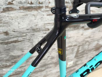 Used Bianchi Specialissima Frameset 2020 Road & Gravel, Green — image 6 of 13