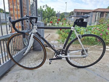 Used Trek Carbon 2005 Road & Gravel