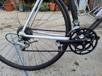 Used Trek Carbon 2005 Road & Gravel, Black — image 8 of 9