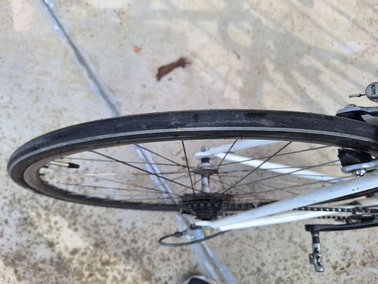 Used Trek Carbon 2005 Road & Gravel, Black — image 9 of 9
