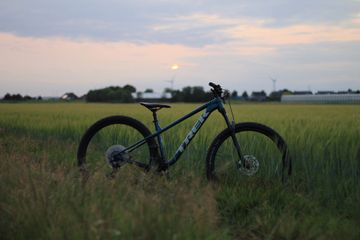 Used Trek Roscoe 7 2023 2023 MTB