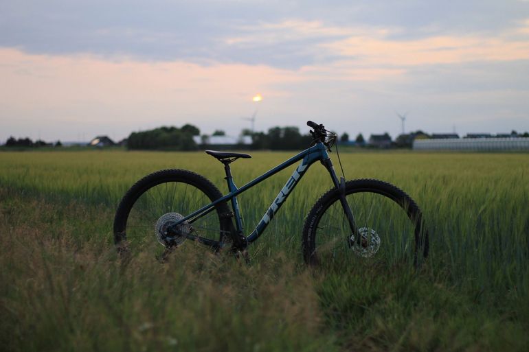 Used Trek Roscoe 7 2023 2023 Mountainbike, Blue, 27.5, 29 — image 1 of 5