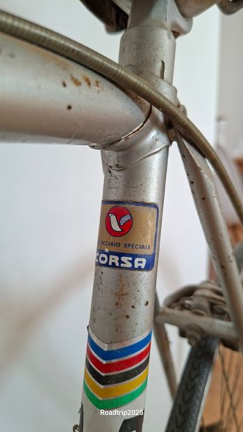 Used Vintage CORBETTA 1978 Road & Gravel, Light Gray — image 9 of 9