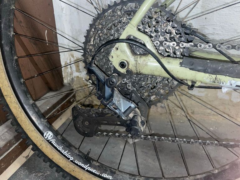 Used Marin Pine Mountain 2 2021 2021 Mountainbike, Green, 29 — image 4 of 10