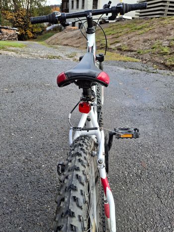 Used Lapierre Tecnic 2019 Mountainbike, White — image 3 of 4