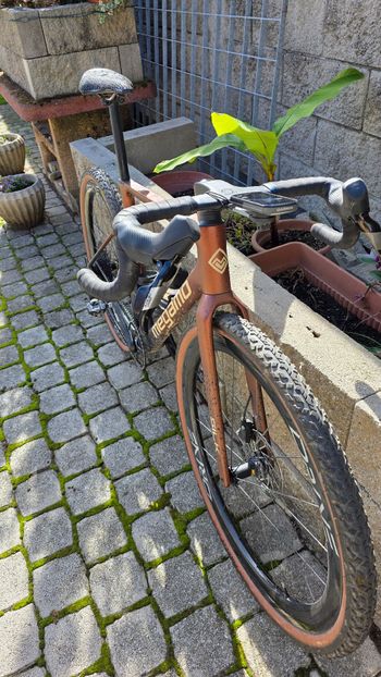 Used Megamo SILK 10 2024 2024 Road & Gravel, Red — image 2 of 10