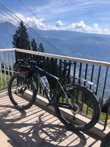 Used Canyon Exceed CF SLX 82022 Team Alpecin Fenix 2022 MTB
