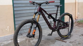 Used Orbea RALLON M20 2023 Frameset 2023 MTB