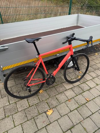 Used Rose BLEND Road 2024 2024 Road & Gravel