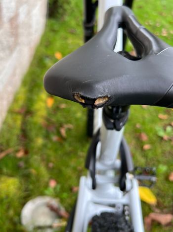 Used Canyon Neuron 6 2022 2022 Mountainbike, Light Gray, 27.5, 29 — image 8 of 10