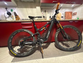 Used Flyer Uproc EVO: C 8.70 Race 2024 MTB