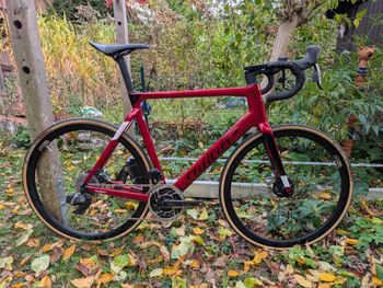 Used Wilier Filante SLR RED AXS DISC POWERMETER 2X12 2024 2024 Road & Gravel