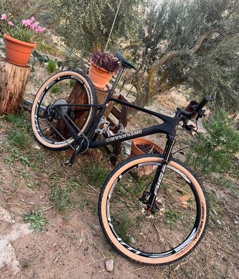 Used Cannondale Scalpel HT SRAM GX Eagle AXS 2024 MTB
