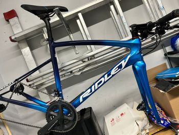 Used Ridley Fenix Disc - Shimano Ultegra 2x11sp 2023 2023 Road & Gravel