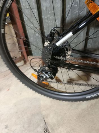 Used Cannondale Trail 7 2024 2024 Mountainbike, Black, 29 — image 4 of 7