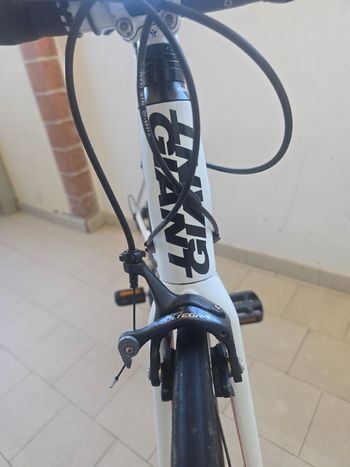 Used Giant Defy Composite 1 2014 2014 Road & Gravel, White — image 6 of 13