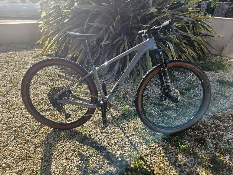 Used Radon JEALOUS 8.0 2023 2023 Mountainbike, Light Gray, 29 — image 1 of 9