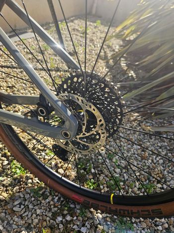 Used Radon JEALOUS 8.0 2023 2023 Mountainbike, Light Gray, 29 — image 6 of 9