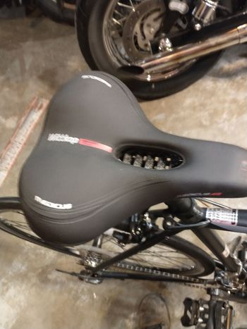 Used Schwinn Phocus 1600 2023 2023 Road & Gravel, Black — image 3 of 6