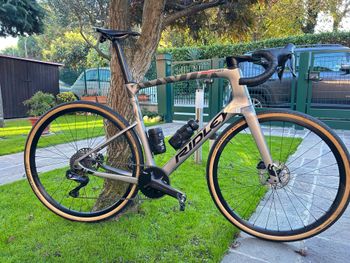 Used Ridley Kanzo Fast 2024 2024 Road & Gravel