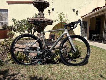 Used Scott Addict 30 2024 2024 Road & Gravel