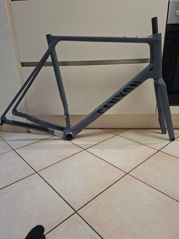 Used Canyon Endurace CF 7 2024 Frameset 2024 Road & Gravel