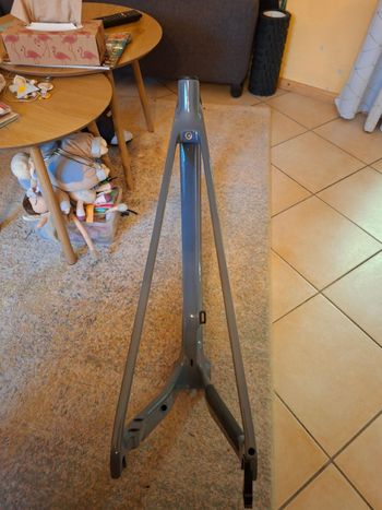 Used Canyon Endurace CF 7 2024 Frameset 2024 Road & Gravel, Light Gray — image 5 of 6