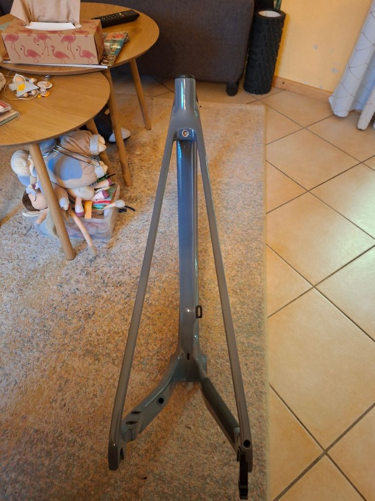 Used Canyon Endurace CF 7 2024 Frameset 2024 Road & Gravel, Light Gray — image 5 of 6