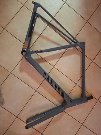 Used Canyon Endurace CF 7 2024 Frameset 2024 Road & Gravel, Light Gray — image 2 of 6