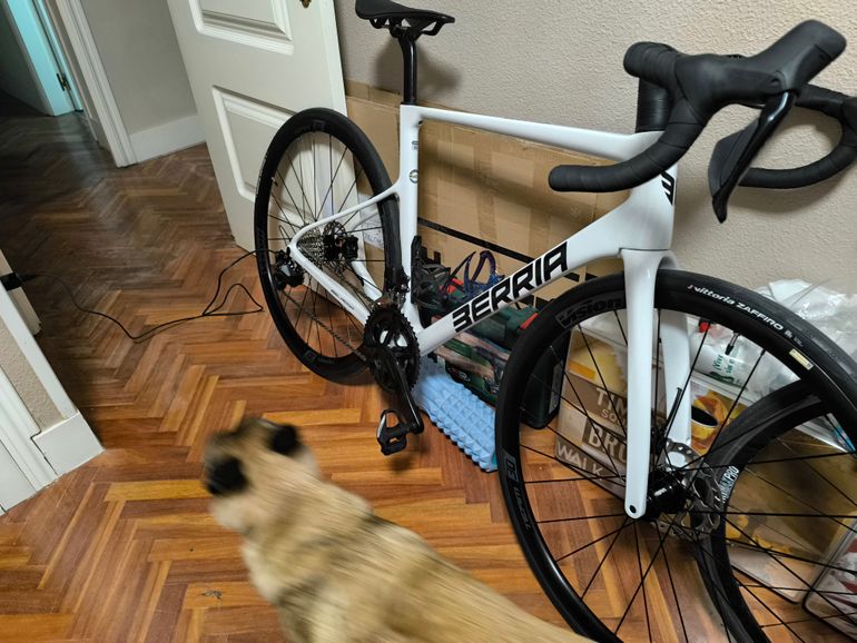 Used Berria BMK 2025 Road & Gravel, White — image 4 of 4