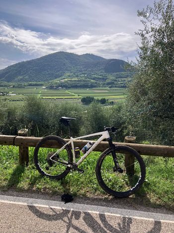 Used Wilier Usma SL SHIMANO XT 1X12S 2024 2024 MTB