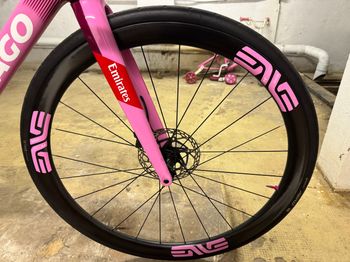 Used Colnago V4RS Frameset Frameset 2024 Road & Gravel, Purple — image 5 of 6