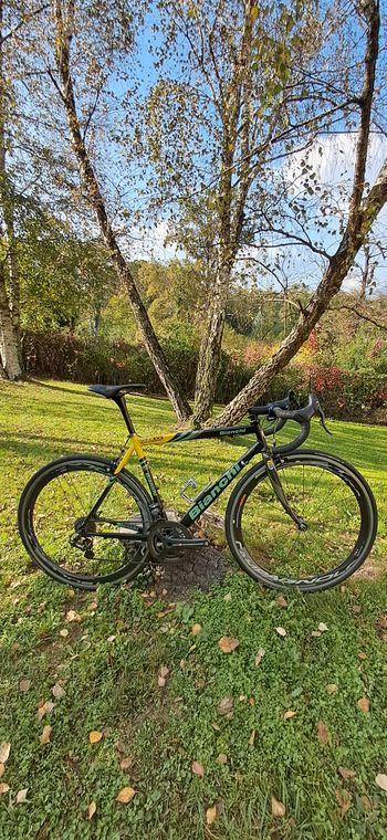 Used Bianchi XL EV2 Reparto Corse 1999 Road & Gravel